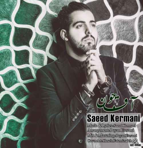 دانلود آهنگ جدید عاشقت شدم از سعید کرمانی
