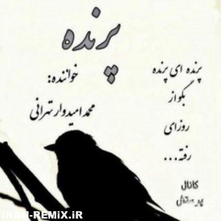 دانلود آهنگ جدید محمد امیدوار تهرانی به نام پرنده
