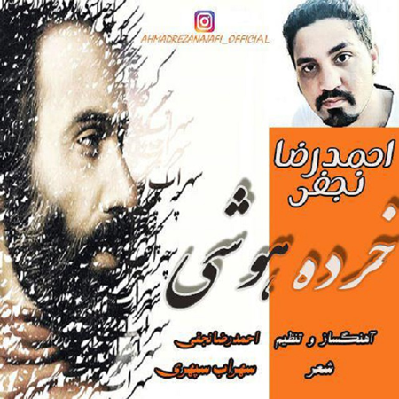 دانلود آهنگ جدید احمدرضا نجفی به نام خرده هوشی