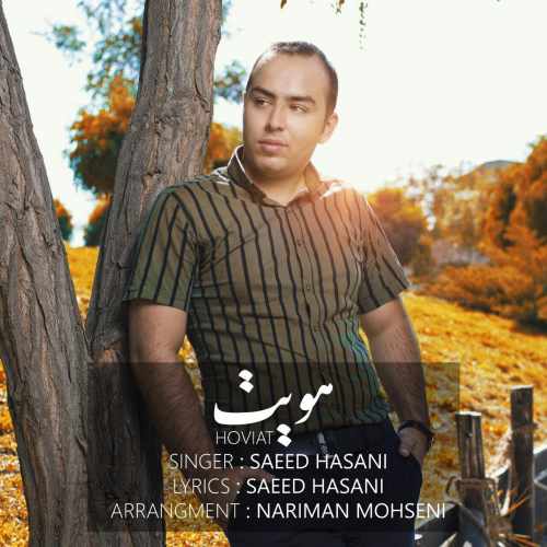 دانلود آهنگ جدید سعید حسنی به نام هویت