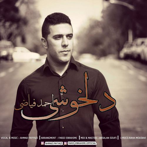 دانلود آهنگ جدید احمد فیاضی به نام دلخوشی