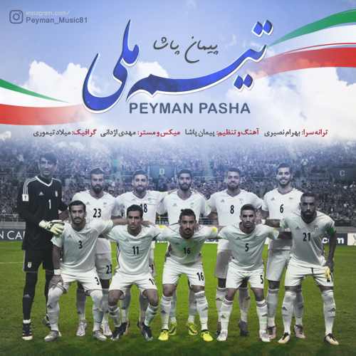 پیمان پاشا - تیم ملی