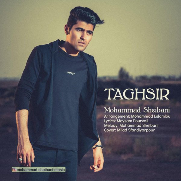 محمد شیبانی - تقصیر