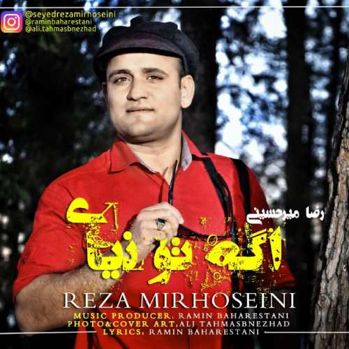 رضا میرحسینی - اگه تو نیای