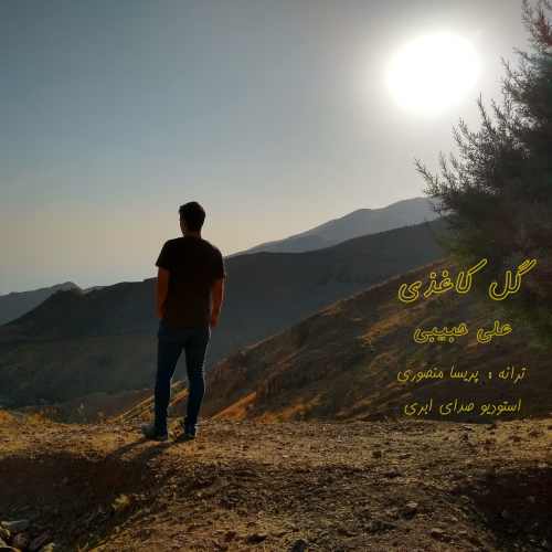 دانلود آهنگ جدید علی حبیبی به نام گل کاغذی
